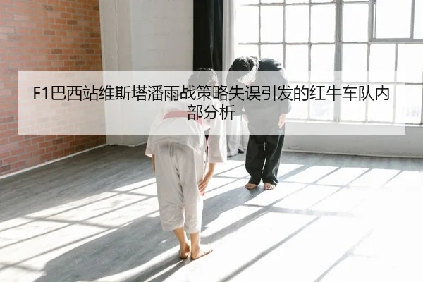 F1巴西站维斯塔潘雨战策略失误引发的红牛车队内部分析